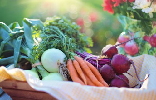 Increase absorption of iron and zinc with some simple changes