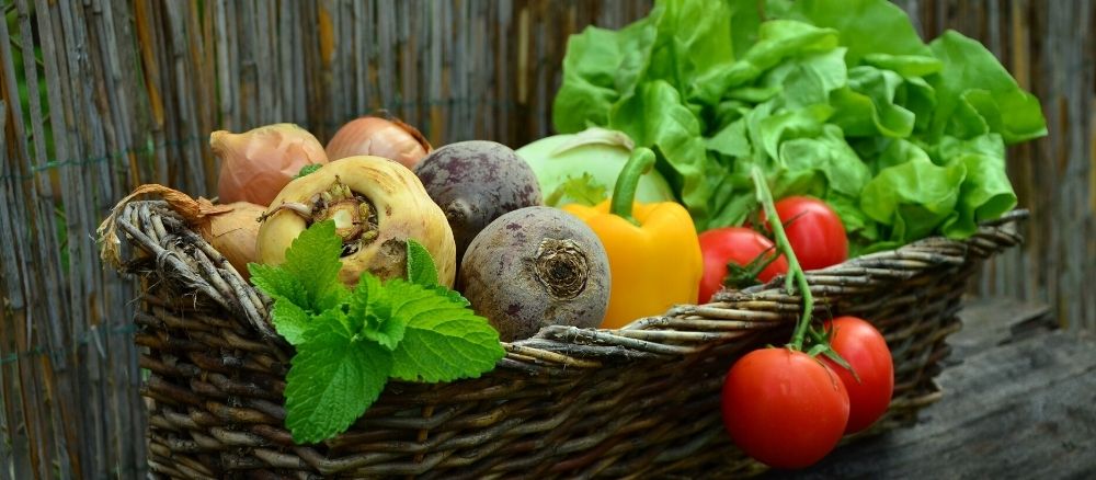 Nutrition